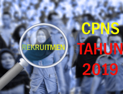 INFO CPNS 2019 : Kementerian PANRB Resmi Usulkan Rekrutmen CPNS & PPPK, Ini Syaratnya !