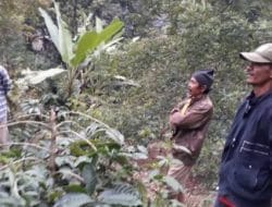Bercocok Tanam, Alasan Bertahan Di Pedalaman