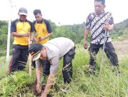 Gerakan Penghijauan, Kapolda Tanam Ratusan Bibit Pohon
