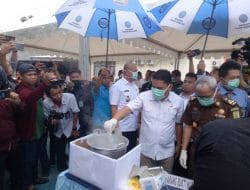 Wakil Ketua DPRD Prihatin Dengan Peredaran Narkotika di Sulbar Relatif Tinggi