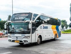 Ingin Liburan Gratis di Banyuwangi? Catat Rute Perjalanan DAMRI Ini!