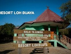 Resort Loh Buaya Ditutup Hingga Juni 2021? Ini Alasannya!