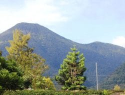 Kabar Gembira, Pendakian Gunung Gede Pangrango Kembali Dibuka