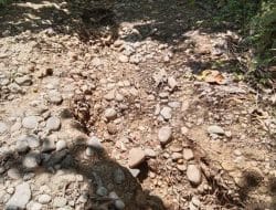 Tersebar Dimedia Sosial, Kondisi Jalan di Desa Rondongan Dikeluhkan Warga