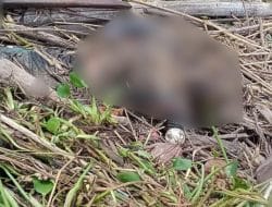 Warga Cenrana Dihebohkan dengan Penemuan Mayat di Tepi Sungai Walanae