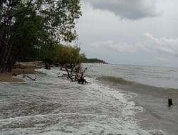 Warga Tonganapo, Kolaka Khawatirkan Abrasi Karena Ombak Tinggi, Pemerintah Diminta Perhatiannya