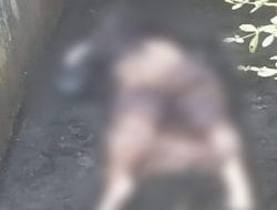 Mayat Wanita Tanpa Identitas Ditemukan di Gowa