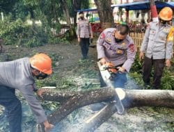 Puluhan Pohon Tumbang di Bone Akibat Cuaca Buruk, Danyon C Pelopor Turun Tangan