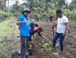 Budidaya dan Pemasaran Tanaman Porang Bersama CV. Indo Porang Tolis