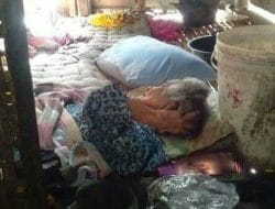 Kisah Pilu di Majene, Nenek Pasa Berharap Belas Kasihan dari Tetangga Untuk Dapat Makan