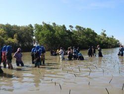 Kemah Konservasi Mangrove Desa Kajuara, Kadis Pariwisata : Ini Bisa Jadi Semangat Ekowisata
