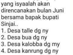Pilkades se Kabupaten Sinjai Tertunda,  Aktifis dan Pemerhati Sosial Angkat Bicara