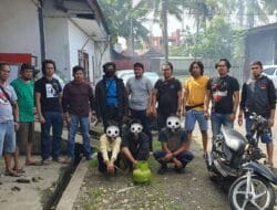 Polisi Ungkap Pencurian di Rumah Dinas KTU PG.Bone