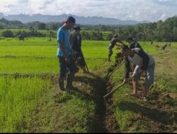 Dengan Semangat Gotong Royong, Warga Amanrang Benahi Jalan Tani