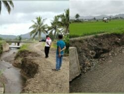 Petani Keluhkan Dampak Proyek Perbaikan Irigasi Putra 1 Sausu