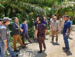 Jalan Dikeluhkan Warga di Pasangkayu, DPRD Minta PT PLS Segera Memperbaiki!