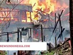 2 Rumah di Tanjung Redeb Habis Dilahap Api, Ini Penyebabnya