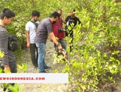 Sesosok Mayat Ditemukan Warga Polman di Tengah Pohon Bakau