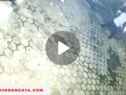 Makassar tidak Aman, Warga Takalar Dijambret di Jalan Andi Tonro