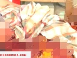 Sadis, Emak – Emak di Bone Tewas di Tangan Perampok