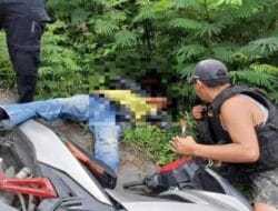 Dua Warga Asal Sulsel Ditembak KKB di Papua, Pemprov Sulsel Turut Berduka Cita