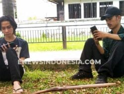 Agar Tidak Bosan, Lakukan 8 Cara ini untuk Mempercantik Tampilan Android
