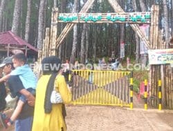Libur Lebaran 2022, Hutan Pinus Bulu Tanah Dipadati Pengunjung Bahkan dari Mancanegara