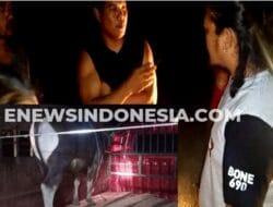 Curi Sapi Warga Buludua, Kades, Ketua BPD, dan Polisi Kejar Pelaku hingga ke Palakka Bone