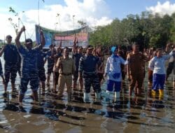 Lanal Morotai Bersinergi DLH Lakukan Penanaman Bibit Mangrove