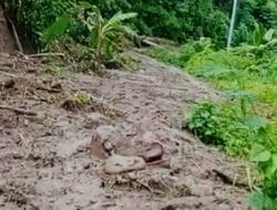 4 Hari Jalan Tertimbun Longsor, Masyarakat Tutar Polman Butuh Perhatian Pemerintah