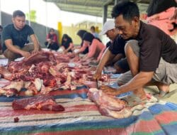 Yayasan Irwan Rahmani Nusantara Salurkan Daging Qurban di Salomekko