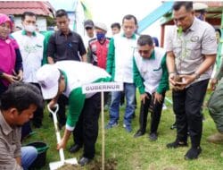 Hari Lingkungan Hidup se Dunia, Ini yang Dilakukan Pemkab Majene