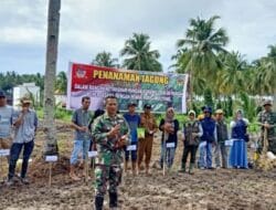 Tingkatkan Hanpangan, Babinsa Koramil 1306-08/Parigi Bersama Petani Tanam Benih Jagung