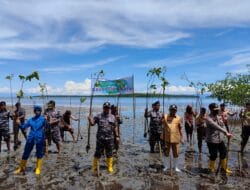 Peringati Hari Mangrove se- Dunia, Lanal Morotai Laksanakan Penanaman Mangrove