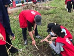 Sambut HUT RI ke-77, Karang Taruna Libureng dan KKN Unhas Gelar Penanaman Bibit Pohon