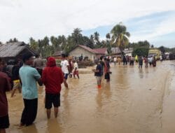 Torue Sulteng Kembali Diterjang Banjir