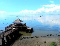 Pemerintah Abai Keindahan Tanjung Pallette Tercoreng