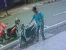 Pencuri Dompet Terekam Kamera CCTV Alfamidi di Tobelo Halut