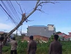 Aksi Heroik Tim Sar Brimob Evakuasi Pohon Tumbang di Bone yang Menimpa Kabel