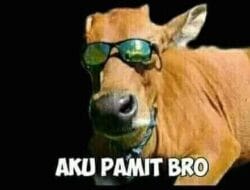 Maraknya Judi Sabung Ayam di Libureng Seiring Banyaknya Sapi yang Raib