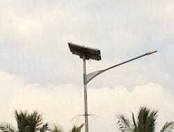 Good Job! Tim Pemadam Morotai Bersihkan Sarang Tawon yang Ganggu Pengguna Jalan