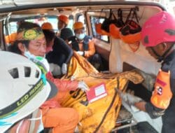 Meski Kondisi Hujan, Evakuasi Korban Gempa Cianjur Tetap Berlanjut
