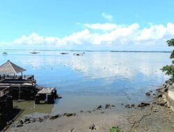 Pemda Bone Dilematis Tangani Petani Rumput Laut di Lokasi Wisata Tanjung Pallette