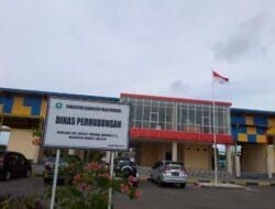 Tak Ada Angkutan Umum Gratis Nataru Kali Ini di Morotai