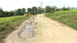 Ruas Jalan Tanah Batu – Desa Binuang Merupakan Jalan Kabupaten, DBMCKTR: Tidak Dianggarkan