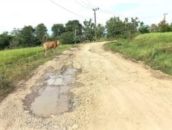 Ruas Jalan Provinsi di Desa Binuang Tak Diperhatikan Sejak Gubernur Basri Palaguna