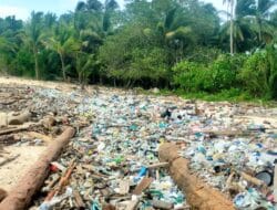 Kadispar Morotai Harap Kerjasama Semua Pihak Tangani Sampah di Bibir Pantai