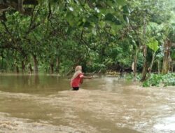 Banjir Rendam Rumah Warga di Desa Sangowo