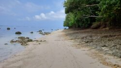 Tempat Wisata di Morotai Kurang Peminat Karena Akses Jalan yang Rusak