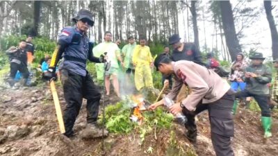 Dikenal Dermawan, Terduga Pemilik Ladang Ganja di Bone Diikutkan Polisi dari Makassar